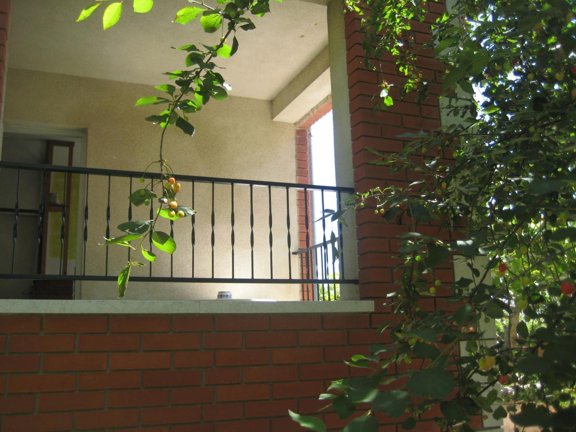 Apartment House Kate