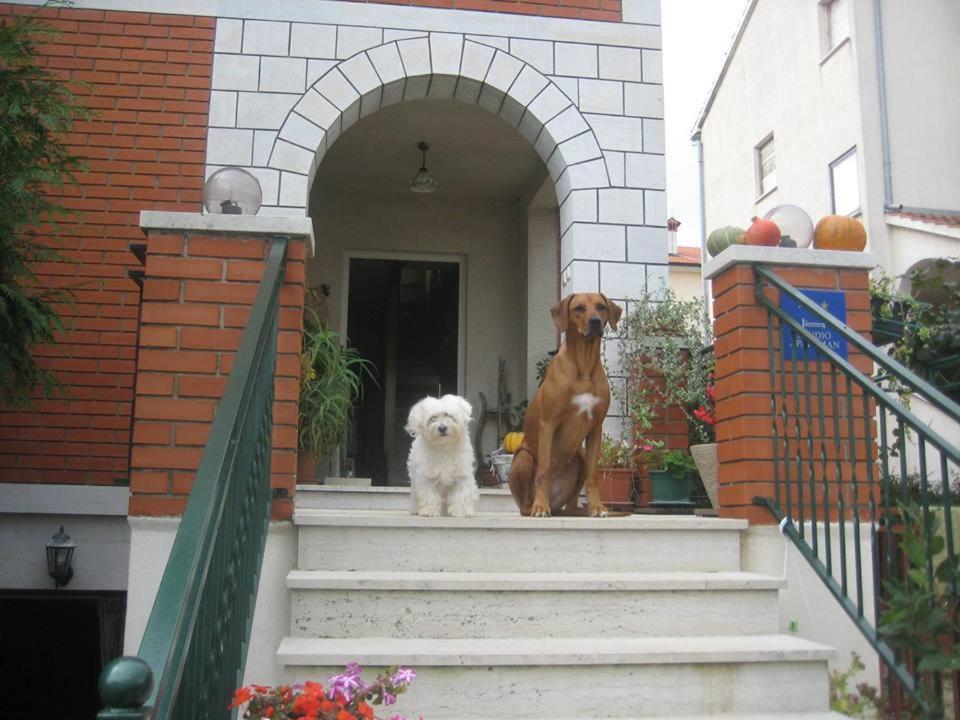 House Kate * Rovinj
